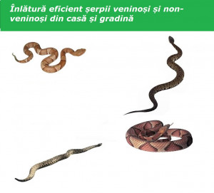 Aparat cu ultrasunete impotriva serpilor anti serpi