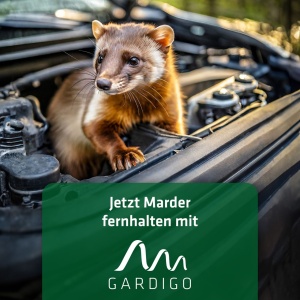 Dispozitiv anti dihori și jderi pentru autoturisme garaje sau poduri, alimentare 12 V și alimentare pe baterii, frecvență variabilă 12–24 kHz, senzor auto-off, lumină intermitentă