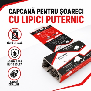 Set 3 x Capcană cu lipici pentru șoareci pe carton fără otravă,  21 × 13 cm, set 3 bucăți