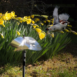 Sperietoare anti pasari reflectorizanta, anti pasari, anti porumbei, anti grauri, 20 cm