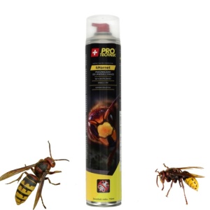 Spray insecticid anti viespi și gărgăuni 4Hornet, 750 ml, jet până la 3 m, pentru cuiburi, interior și exterior