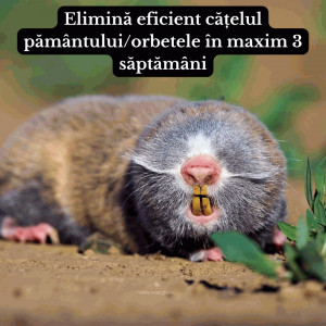 Aparat profesional anti orbete BUHA , acoperire 800 metri patrati,vibratii si ultrasunete, anti catelul pamantului, anti cartite, alimentare 3x R20D