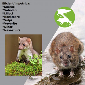 Aparat profesional PestXRepel 6 in 1, frecventa 41000 Hz, anti lilieci, anti soareci, anti sobolani, anti rozatoare, anti veverite, anti vulpi