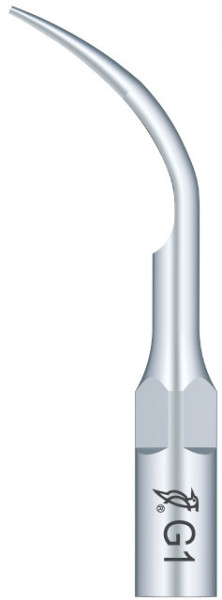 Ansa Detartraj G1 EMS Woodpecker