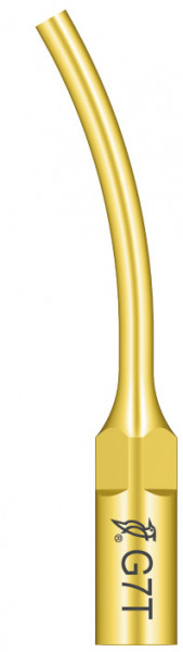 Ansa Detartraj G7T Titan EMS Woodpecker