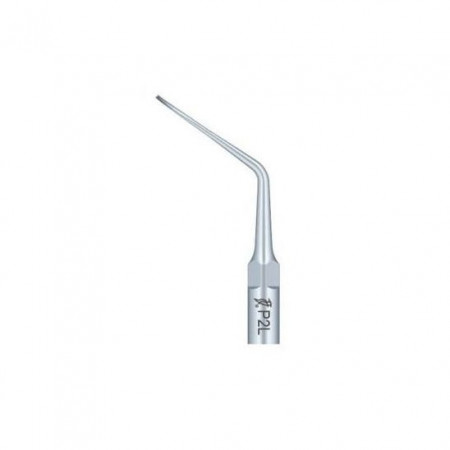 Ansa Perio P2L EMS Woodpecker