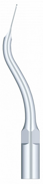 Ansa Detartraj G11 EMS Woodpecker