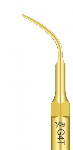 Ansa Detartraj G4T Titan EMS Woodpecker