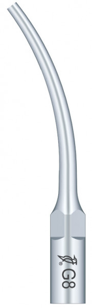 Ansa Detartraj G8 EMS Woodpecker