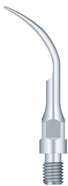 Ansa Detartraj GS1 Woodpecker