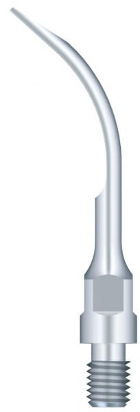Ansa Detartraj GS6 SIRONA Woodpecker
