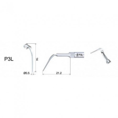 Ansa Perio P3L EMS Woodpecker