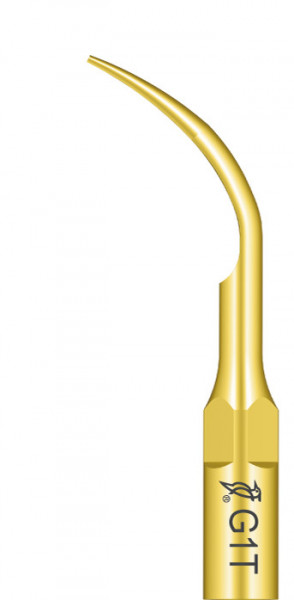 Ansa Detartraj G1T EMS Woodpecker