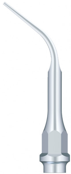 Ansa Detartraj GC1 KAVO Woodpecker