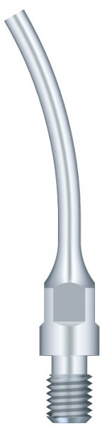 Ansa Detartraj GS7 SIRONA Woodpecker
