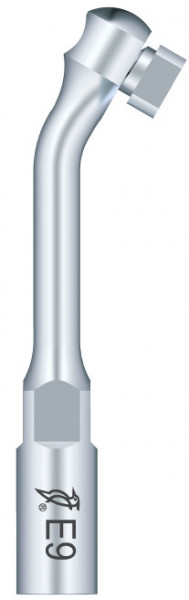 Ansa Endo E9 EMS Woodpecker