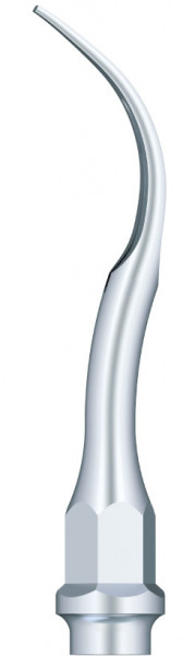 Ansa Detartraj GC2 KAVO Woodpecker