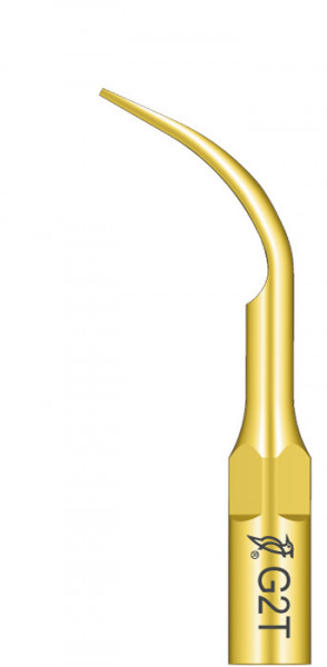 Ansa Detartraj G2T Titam EMS Woodpecker