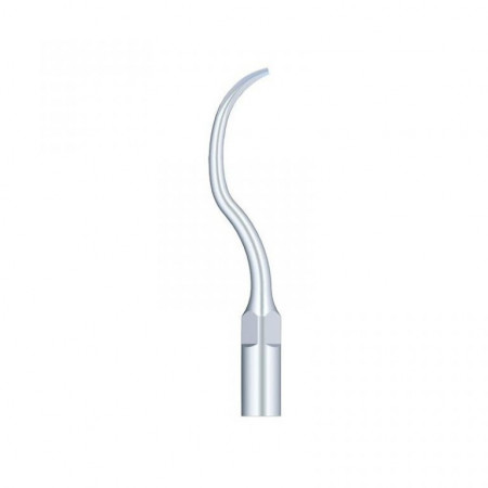 Ansa Detartraj GD9 DTE/SATELEC Woodpecker