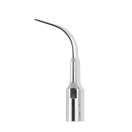 Ansa Detartraj P10 Lunos Durr Dental
