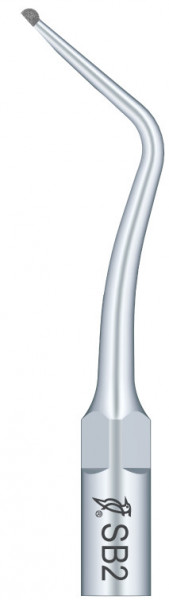 Ansa Prepararea Cavitatilor SB2 EMS Woodpecker