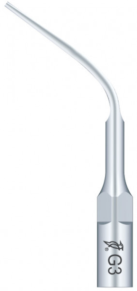 Ansa Detartraj G3 EMS Woodpecker