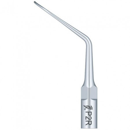 Ansa Perio P2R EMS Woodpecker