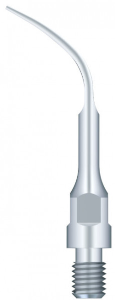 Ansa Detartraj GS4 SIRONA Woodpecker
