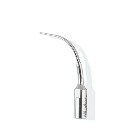 Ansa Detartraj P12 Lunos Durr Dental