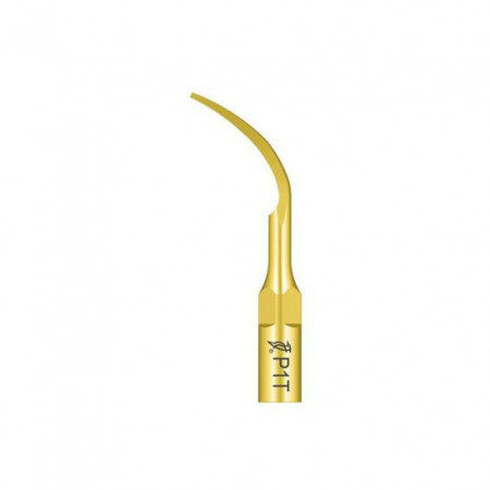 Ansa Perio P1T Titan EMS Woodpecker