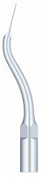 Ansa Detartraj G11 EMS Woodpecker