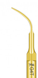 Ansa Detartraj G4T Titan EMS Woodpecker