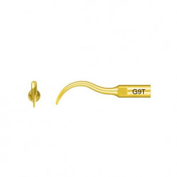 Ansa Detartraj G9T Titan EMS Woodpecker
