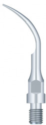 Ansa Detartraj GS1 Woodpecker