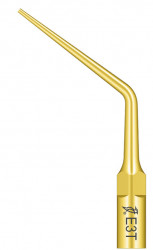Ansa Endo E3T Titan EMS Woodpecker