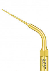 Ansa Endo E5T Titan EMS Woodpecker