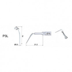Ansa Perio P3L EMS Woodpecker
