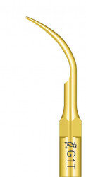 Ansa Detartraj G1T EMS Woodpecker
