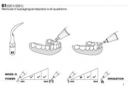 Ansa Detartraj GS1 Woodpecker