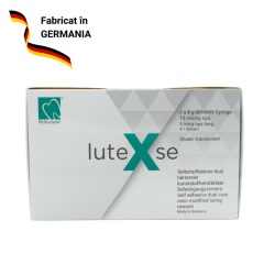 Lute X SE Translucent 8 g Schulzer
