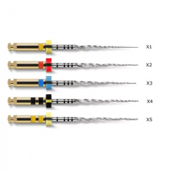 Ace Protaper Next