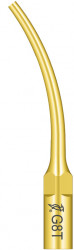 Ansa Detartraj G8T Titan EMS Woodpecker