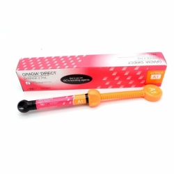 Gradia Direct Anterior GC 4 g GC