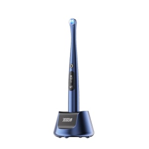 Lampa foto X-Star Woodpecker