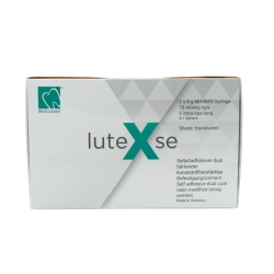 Lute X SE Translucent 8 g Schulzer