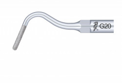 Ansa Detartraj G20 EMS Woodpecker