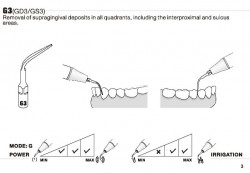 Ansa Detartraj GD3 DTE/SATELEC Woodpecker