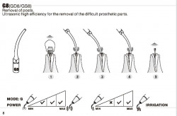 Ansa Detartraj GD8 DTE/SATELEC Woodpecker