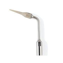 Ansa Detartraj ICS+IC1 Durr Dental