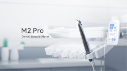 Micromotor Electric Built-in M2 Pro Woodpecker